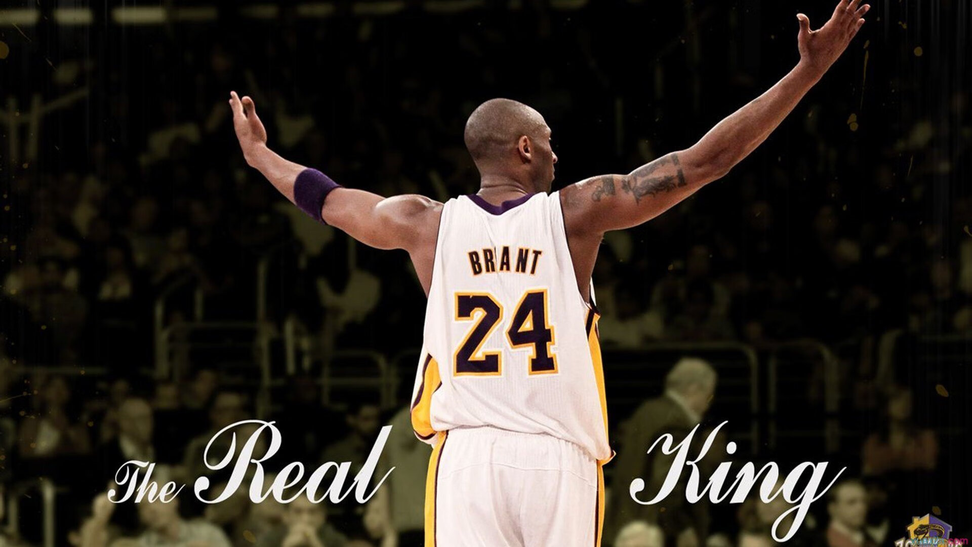 西亚卡姆统治攻防两端,森林狼鏖战骑士见证无争议全场最佳