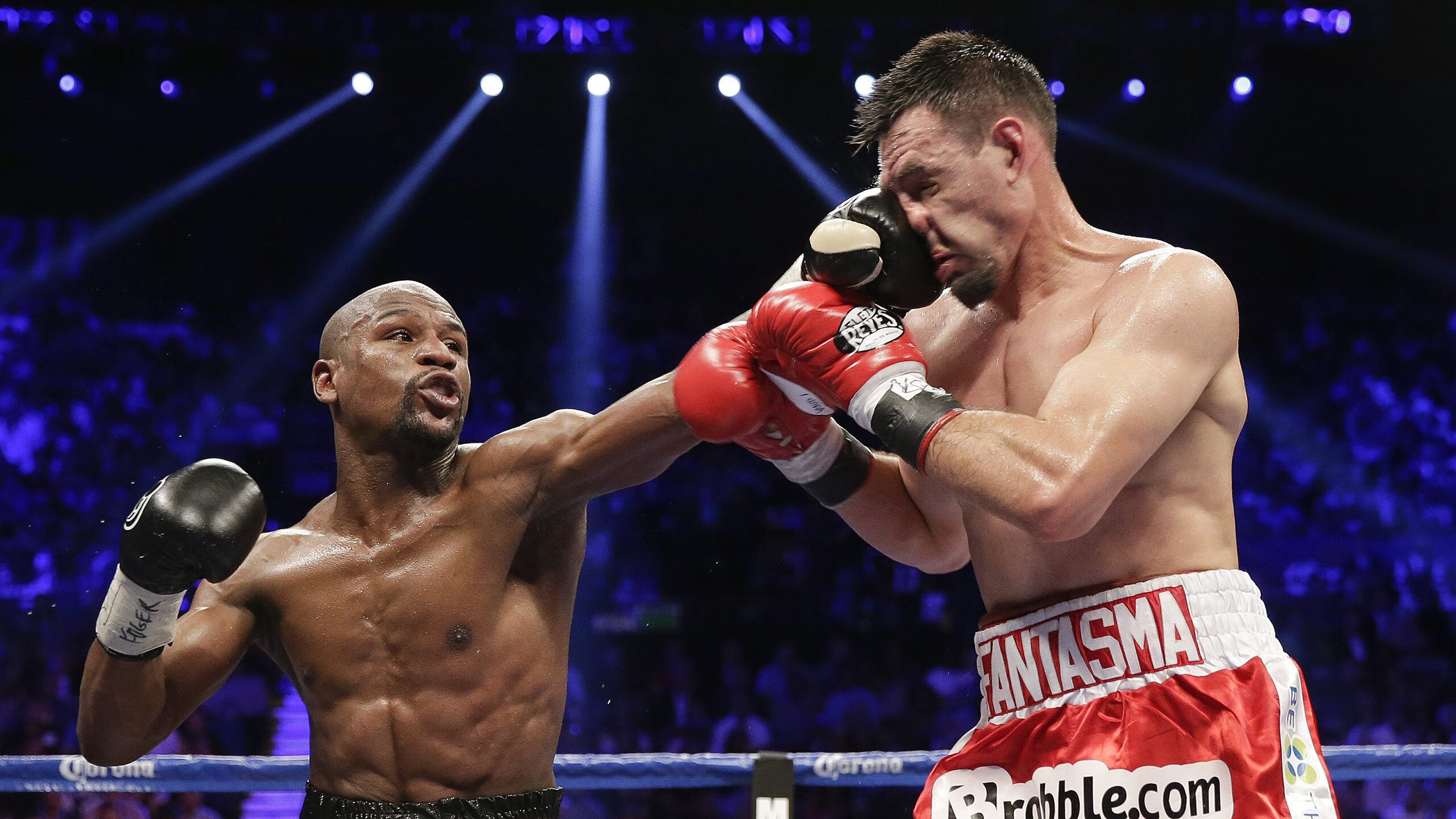 德甲争冠战焦点战，公牛封锁黄蜂，铁血防守铸就王座之路